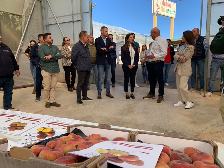 Imagen de la consejera Sara Rubira en la visita a Viveros del Sureste que comercializan las nuevas variedades desarrolladas por el IMIDA