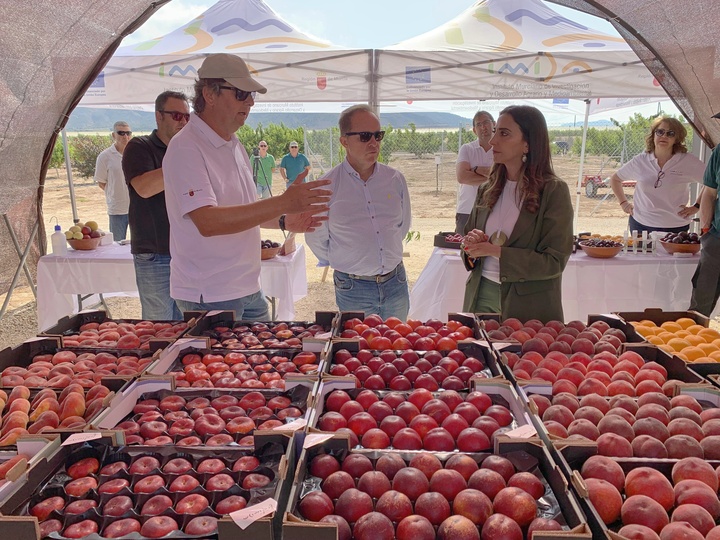 La consejera Sara Rubira en la visita a la finca experimental Frutimida donde se han desarrollado las nuevas variedades de fruta de hueso del programa...
