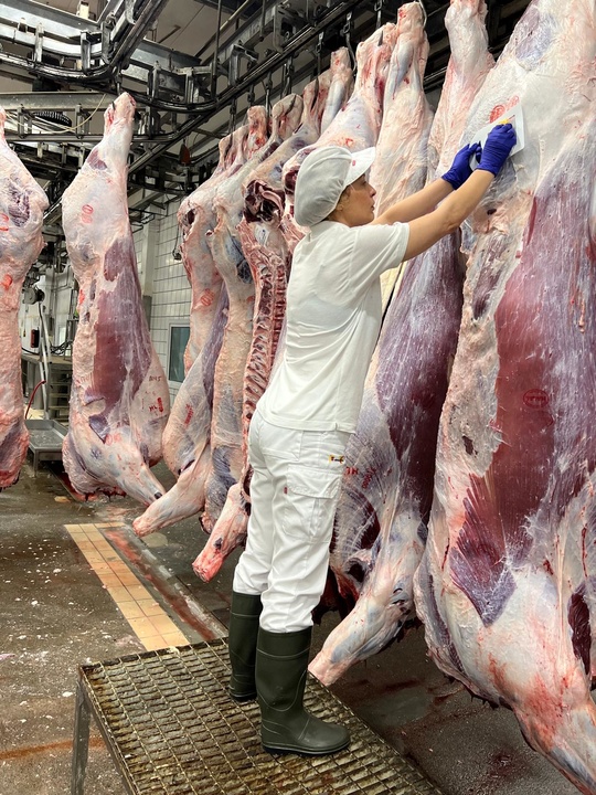 Toma de muestras realizada por el Servicio de Seguridad Alimentaria y Zoonosis de la Consejería de Salud (2)