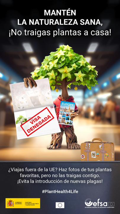 Poster Campaña Plant Health 4Life 2024