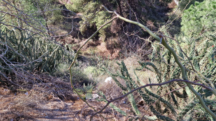 Parque Regional de Calblanque, Monte de las Cenizas y Peña del Águila