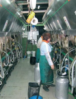 Imagen sala de ordeño