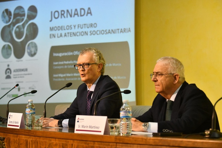 Pedreño destaca la elaboración del Plan Sociosanitario de la Región de Murcia 2023-2028 en una jornada sobre dependencia