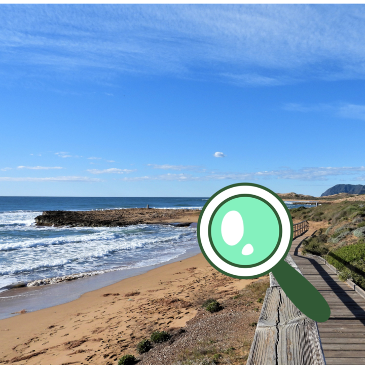 Imagen del taller 'minimundo de Calblanque' en el Parque Regional de Calblanque durante la pasada edición