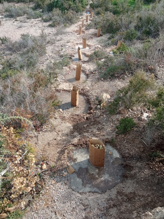 Actuaciones en el entorno de Cabo Cope (2)