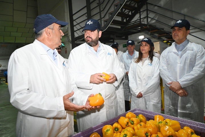 López Miras visita las instalaciones de la Sociedad Agrícola de Transformación San Cayetano, con motivo del 50 aniversario de su constitución (2)