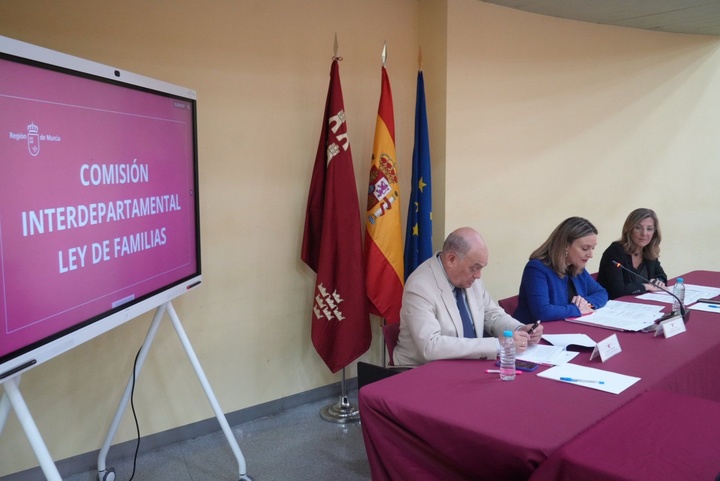 La consejera de Política Social, Familias e Igualdad, Conchita Ruiz, durante la constitución de la Comisión Interdepartamental (1)