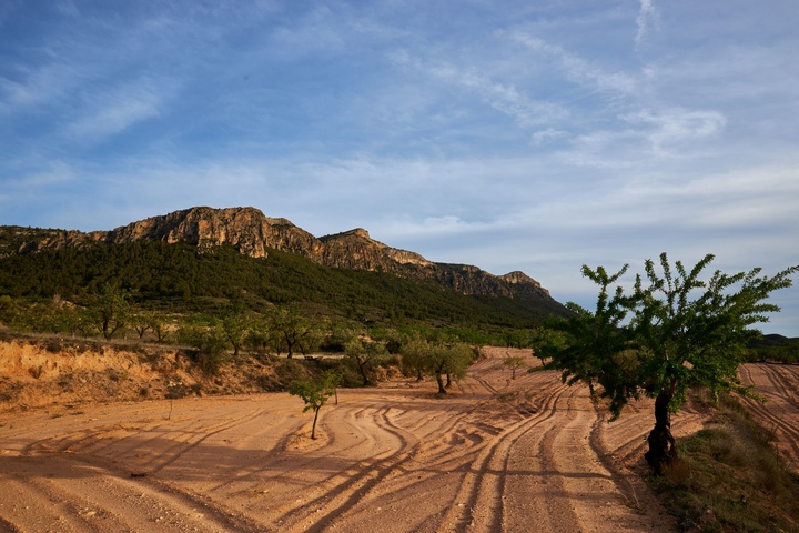 Sierra del Buey en Yecla.
