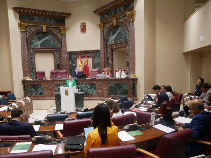 Imagen de la consejera Sara Rubira durante la comparecencia este viernes en la Asamblea regional