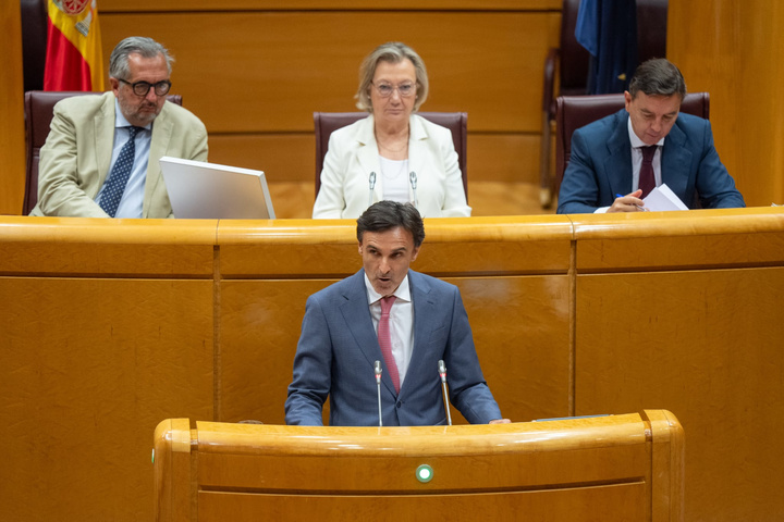 El consejero de Fomento e Infraestructuras, Jorge García Montoro, durante su intervención en el Senado