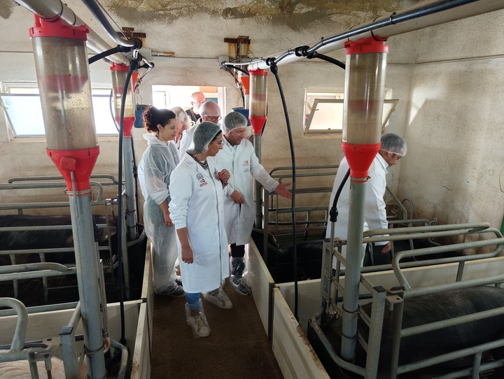 Imagen de la consejera Sara Rubira visitando la explotación ganadera de chato murciano de Airemar