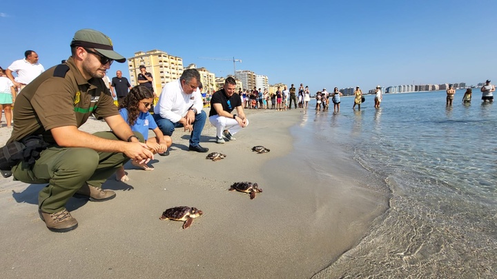El consejero de Medio Ambiente, Universidades, Investigación y Mar Menor, Juan María Vázquez, participa en la liberación de ejemplares de tortuga...