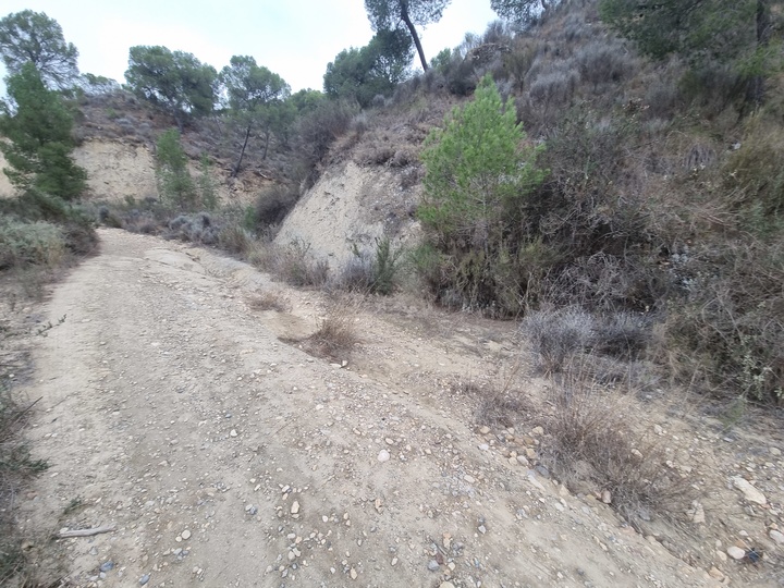 Deslizamiento de camino de acceso El Algarrobo (Mazarrón).