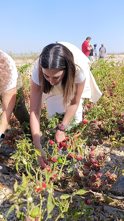 Imagen de la consejera en una finca donde se cultiva pimiento para la elaboración de pimentón