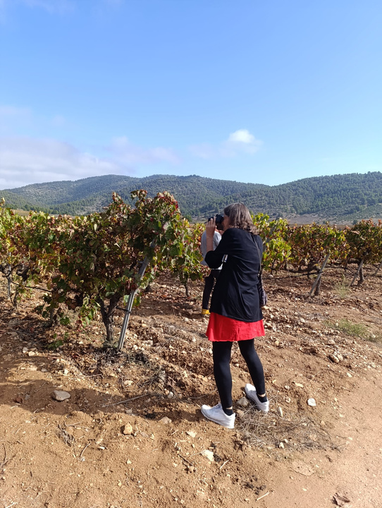 La periodista Nicole Biarnés, fotografiando los viñedos de la Región.
