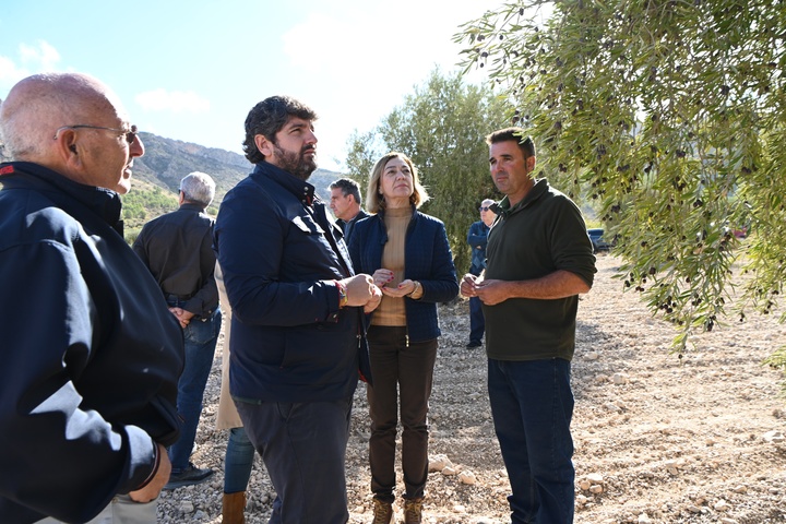 El presidente de la Comunidad, Fernando López Miras, visitó hoy en Jumilla una finca de olivos de secano, donde anunció nuevas ayudas para agricultores y ganaderos afectados por la sequía (2)