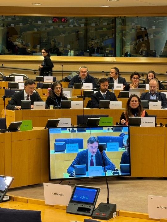 El consejero de Fomento e Infraestructuras, Jorge García Montoro, interviene en las Comisiones de Vivienda y Empleo del Parlamento Europeo