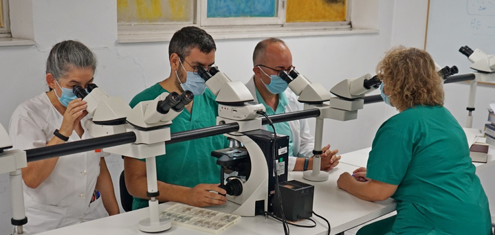 El Banco de Cerebros regional forma parte de la Plataforma Biobanco del Instituto de Investigaci&oacute;n Biosanitaria Pascual Parrilla (IMIB)
