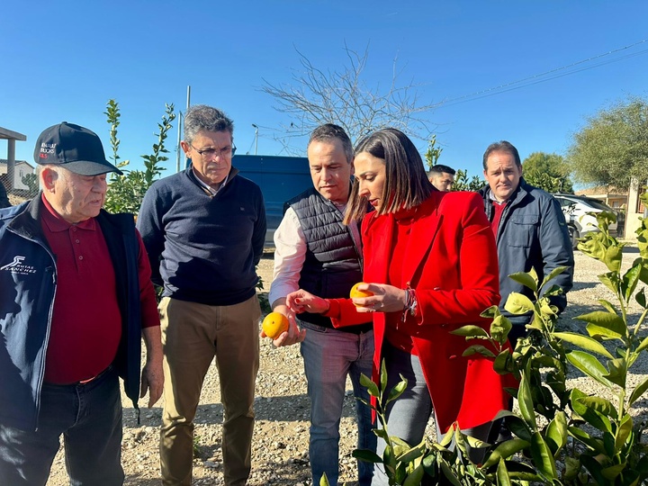 Imagenes de la consejera Sara Rubira en una finca de c&iacute;tricos de Abanilla donde se han da&ntilde;ado frutos por el granizo&nbsp;