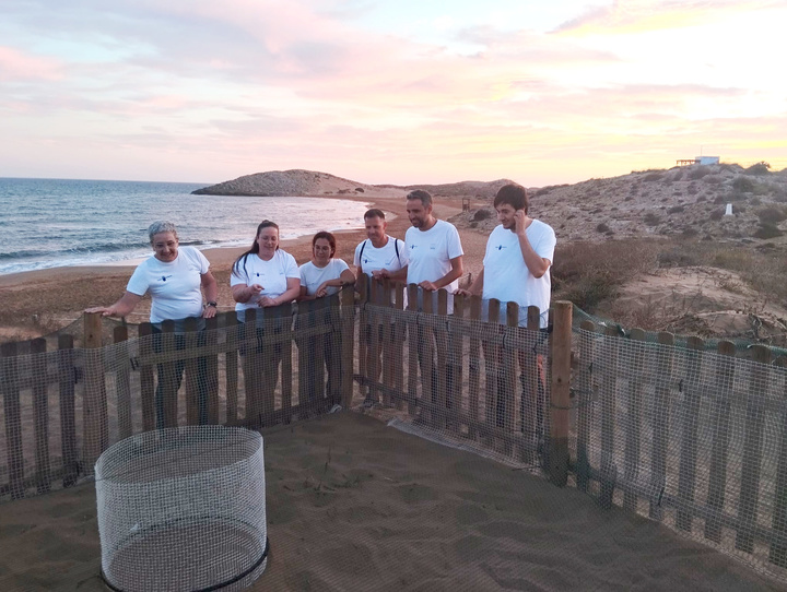 Voluntarios de Territorio Tortuga custodian uno de los nidos localizados este a&ntilde;o (imagen de archivo).