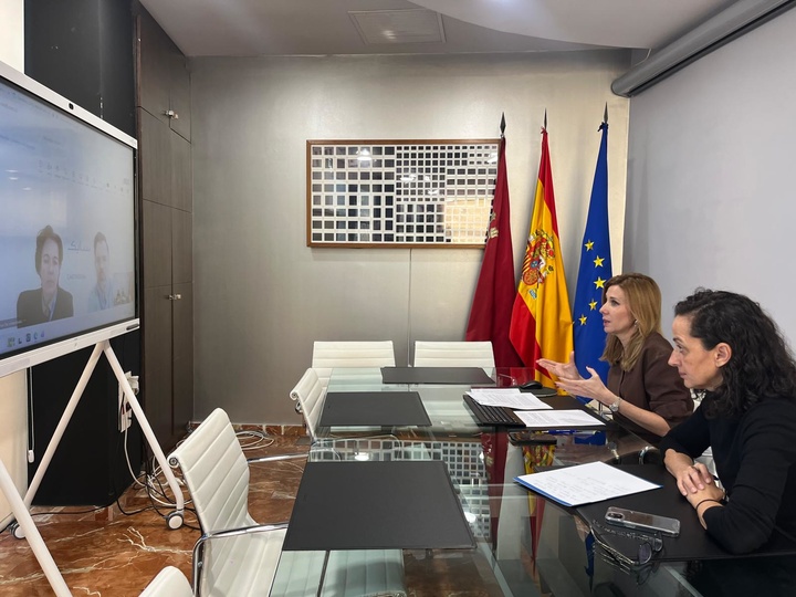 La consejera de Empresa, Empleo y Econom&iacute;a Social, Marisa L&oacute;pez Arag&oacute;n, junto con la secretaria general de la Consejer&iacute;a, Ana Losantos, durante el encuentro telem&aacute;tico
