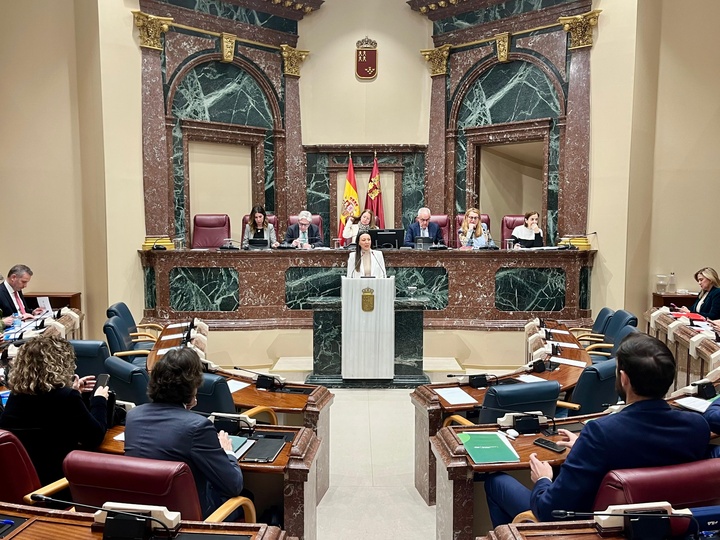 La consejera Carmen Conesa, durante su intervenci&oacute;n en la Asamblea Regional.&nbsp;