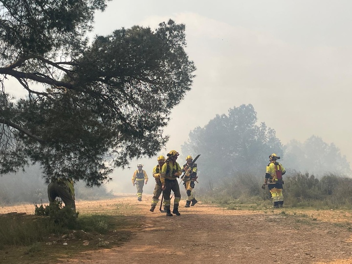Brigadas forestales trabajando ayer en la extinci&oacute;n del fuego en Aledo.