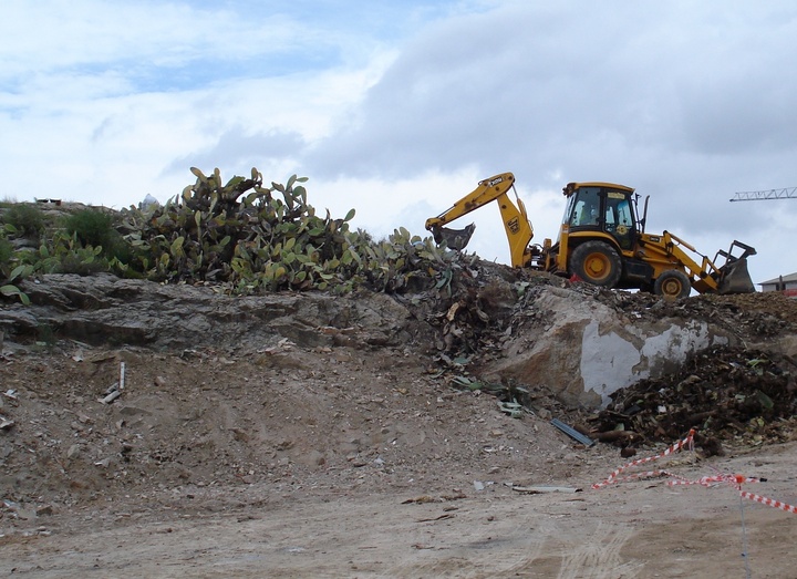 Agricultura combate la plaga de la cochinilla del carmín (1)
