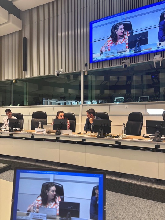 La directora de Uni&oacute;n Europea, Mar&iacute;a Cruz Ferreira, interviene en la clausura del proyecto europeo Life Token CO2 en el Comit&eacute; Europeo de las Reg...