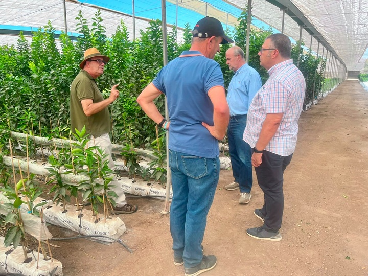 Imagen del director general de Agricultura, durante las prospecciones desarrolladas en un vivero en &Aacute;guilas.