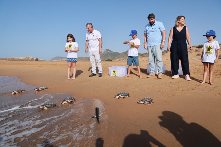Liberaci&oacute;n de 28 ejemplares de tortuga boba (3)