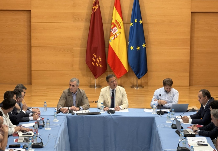 Reuni&oacute;n de la Comisi&oacute;n Interdepartamental Tri-E, presidida por el consejero de Presidencia, Juventud, Acci&oacute;n Exterior y Emergencias, Marcos Ortu&ntilde;o,...