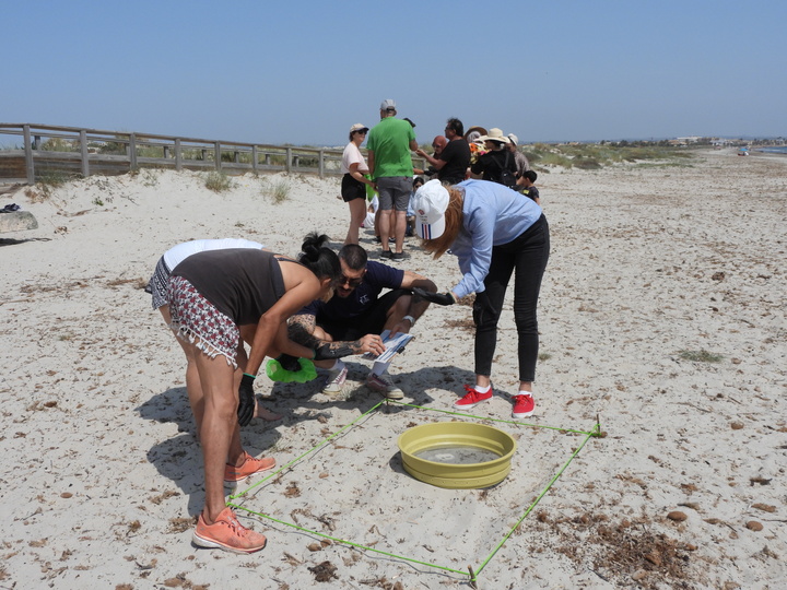 Voluntarios realizando una actuaci&oacute;n de la campa&ntilde;a en la playa de La Llana de San Pedro del Pinatar