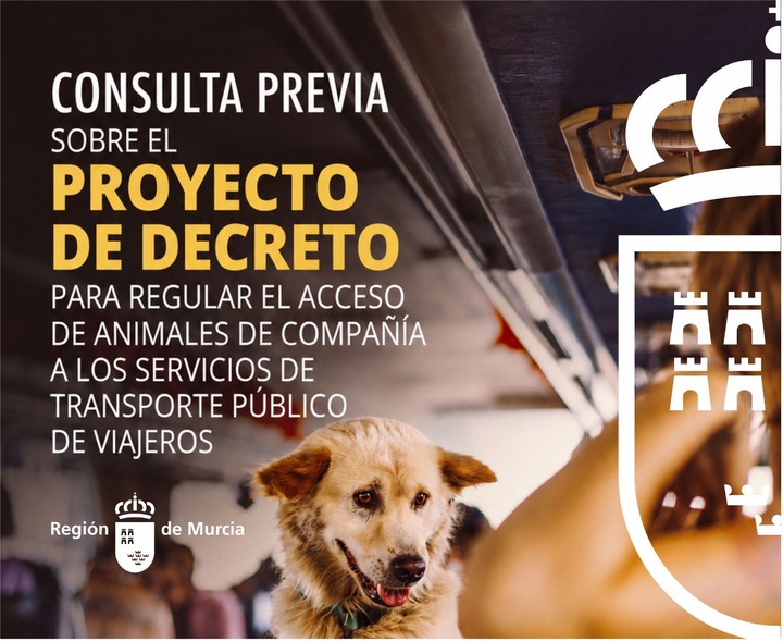Decreto que regular&aacute; el acceso de los animales de compa&ntilde;&iacute;a al transporte p&uacute;blico de viajeros en la Regi&oacute;n de Murcia.