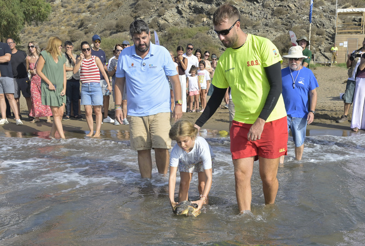 El presidente de la Comunidad en la liberaci&oacute;n de dos ejemplares de tortuga boba en Calnegre