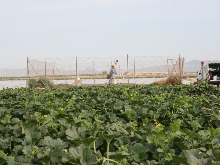 Imagen del Sistema de Informaci&oacute;n Agrario de Murcia (SIAM), ubicado en Cieza.