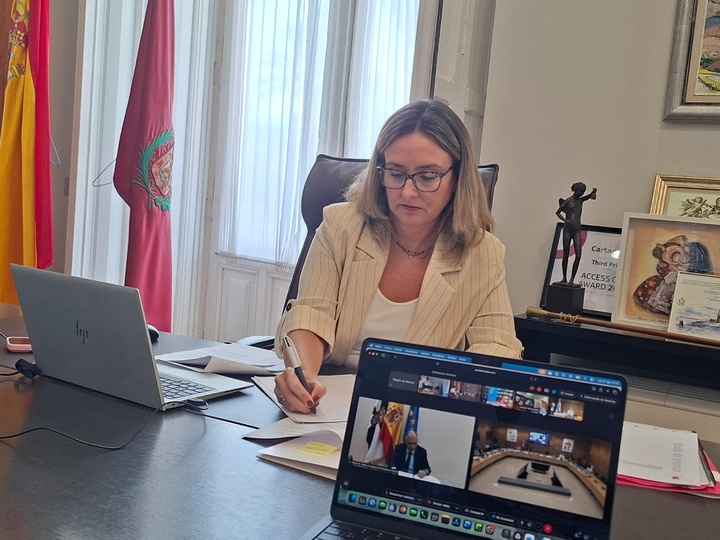La consejera de Pol&iacute;tica Social, Familias e Igualdad, Conchita Ruiz, durante su participaci&oacute;n por videoconferencia en la Conferencia Sectorial de...