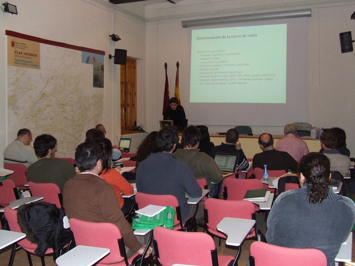 Taller insectos perforadores