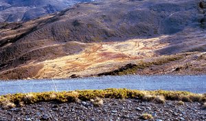Juan Jiménez Montero:'La naturaleza como argumento, fotografía'