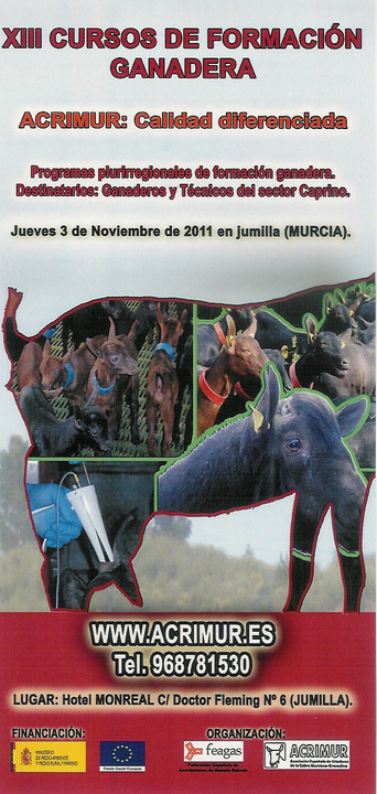 ACRIMUR 2011