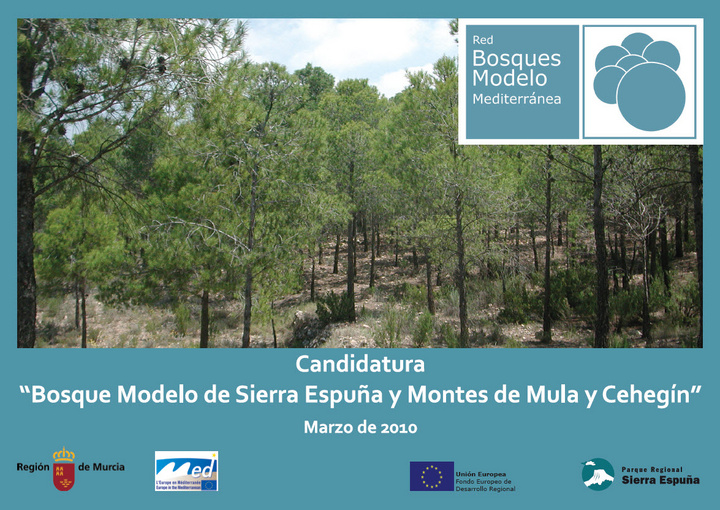 Cartel de la candidatura a 'Bosque Modelo'