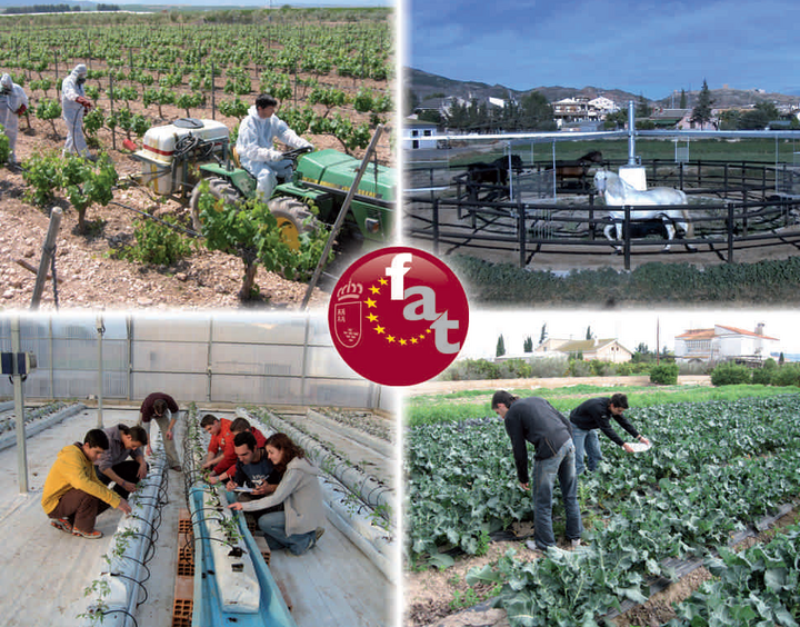 Nueva titulación: Técnico en Producción Agropecuaria