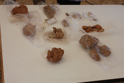 Restos encontrados en el yacimiento de la 'Sima de las Palomas'