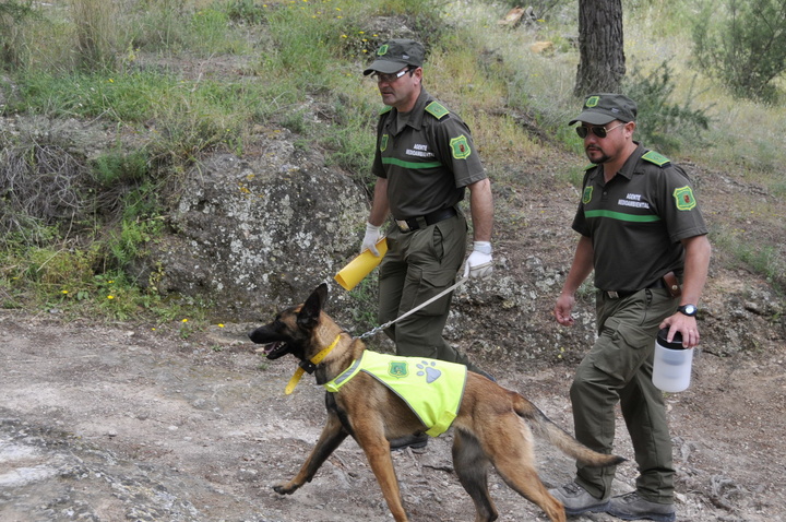 Rastreo de cebos envenenados