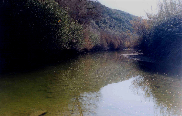 Renovación de cotos de pesca fluvial