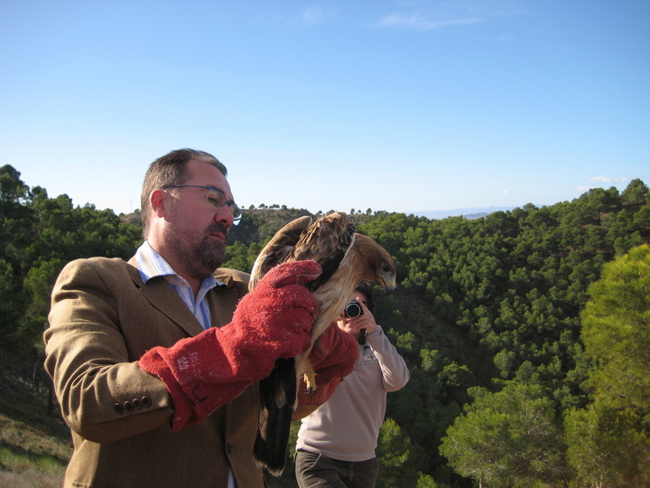 Agricultura libera tres aves rapaces en el Parque Regional El Valle-Carrascoy tras su paso por el Centro de Recuperación de Fauna Silvestre