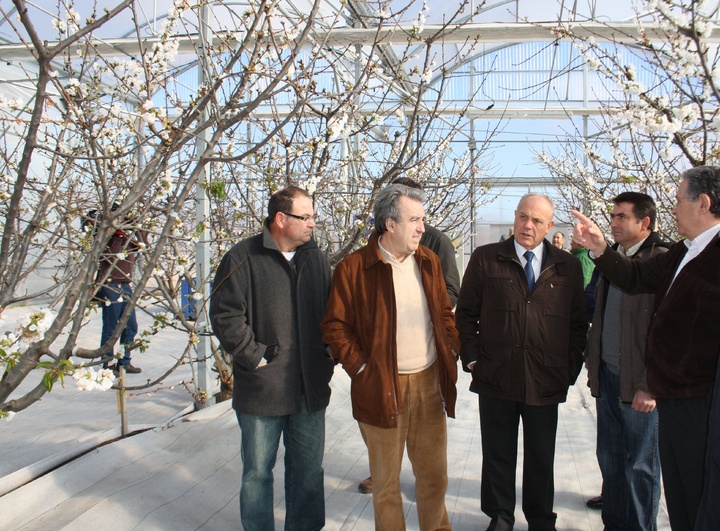 El consejero de Agricultura y Agua, Antonio Cerdá (segundo izquierda), durante su visita a la finca Toli, en Jumilla