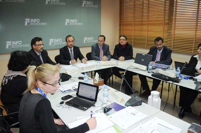 Reunión del Consorcio Europeo 'PacMan' (I)