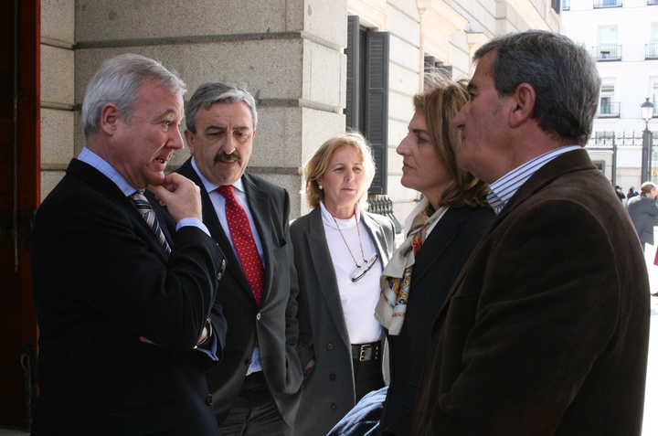 Valcárcel defiende en el Congreso el mantenimiento de las primas a los productores de energía solar fotovoltaica (4)