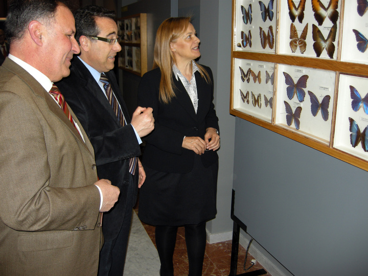 La directora general de Turismo, en la reapertura del Museo Jerónimo Molina de Jumilla